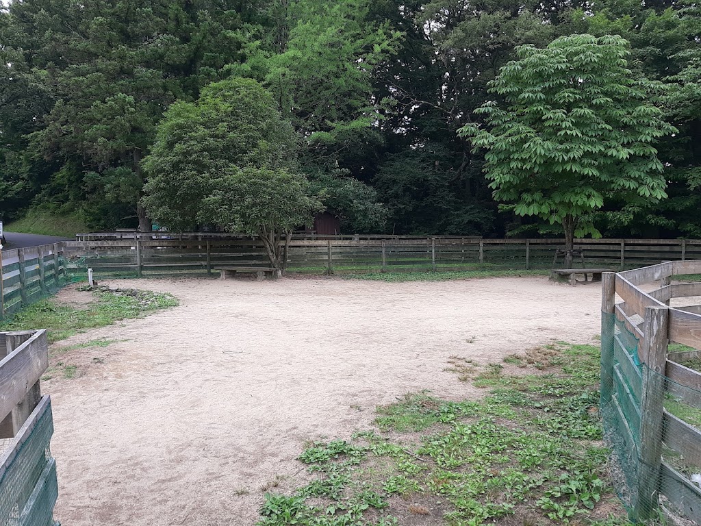 シェア金沢ドッグラン