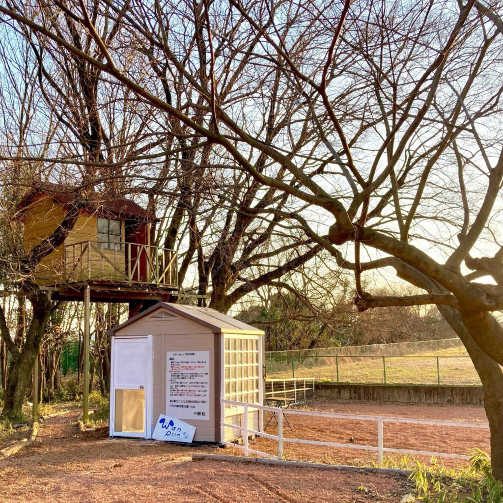 434078513_18326723080190630_749674960468144625_n