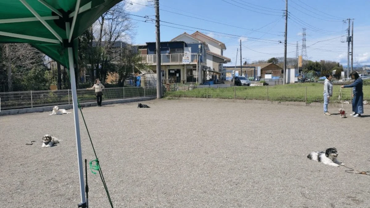 チビクロハウス ドッグランカフェ