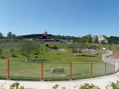 ドッグランえぼし