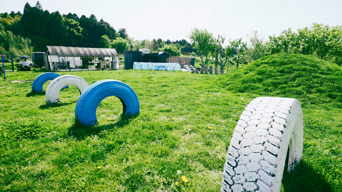 wildわんず倶楽部