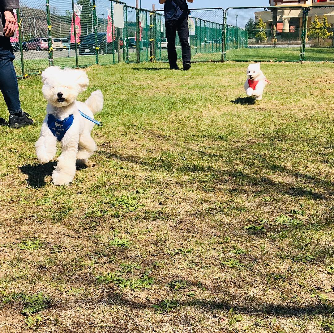 香りの里たきのうえドッグラン