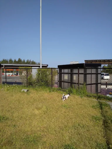 北陸自動車道 米山SA上り ドッグラン