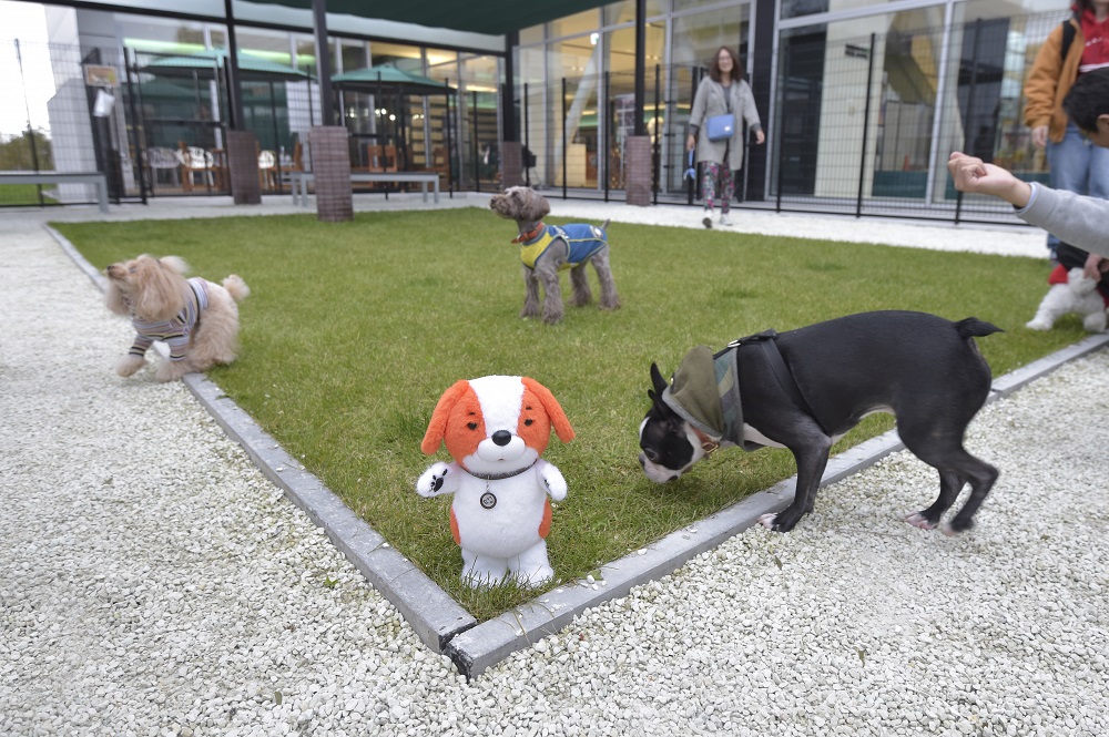 札幌トヨペット月寒店