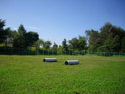 あやめ緑地ドッグラン