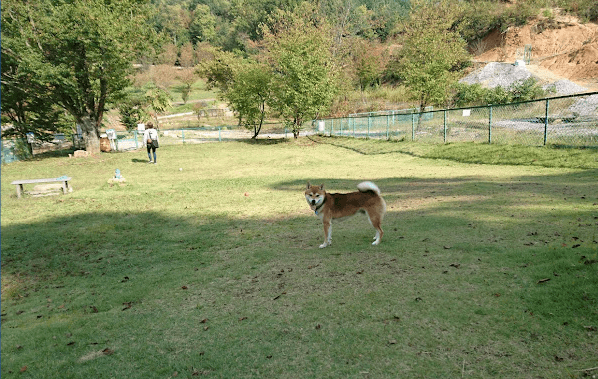 恋文字公園 ドッグラン