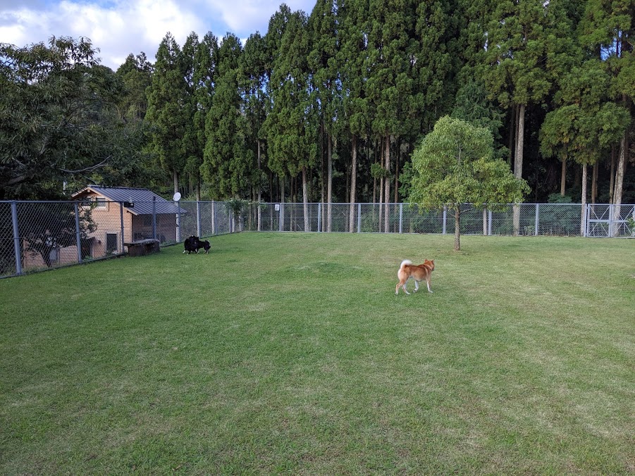 ドッグランヒルズ