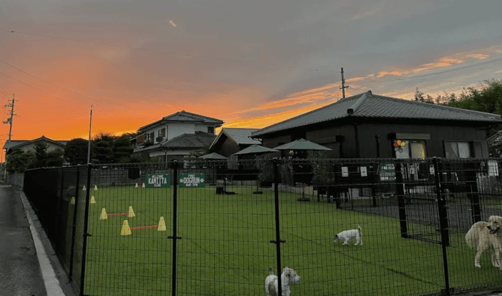 上板倶楽部 ドッグラン