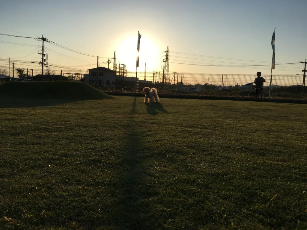 6ad04c9f-fc56-4b52-8589-72162ee623a6