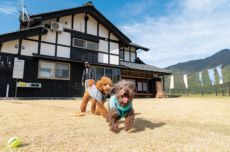 6e2e2c504ba854926b530acbf3b50e1d249539