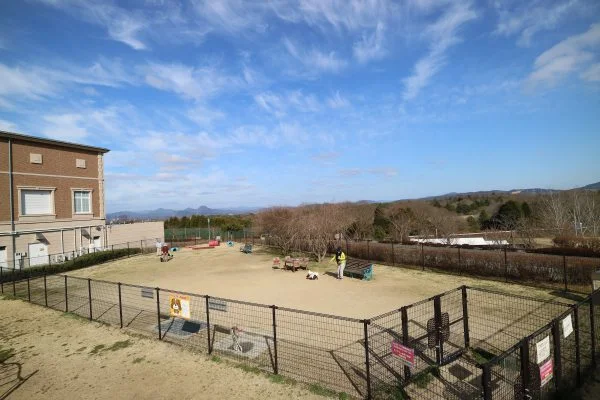 神戸フルーツ・フラワーパーク大沢ドッグラン
