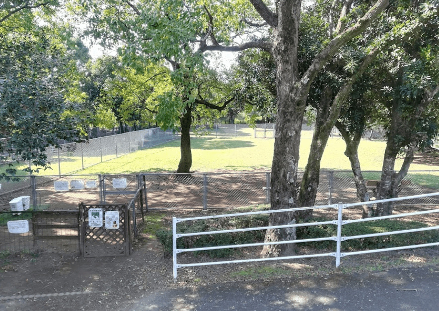 阿波岐原森林公園