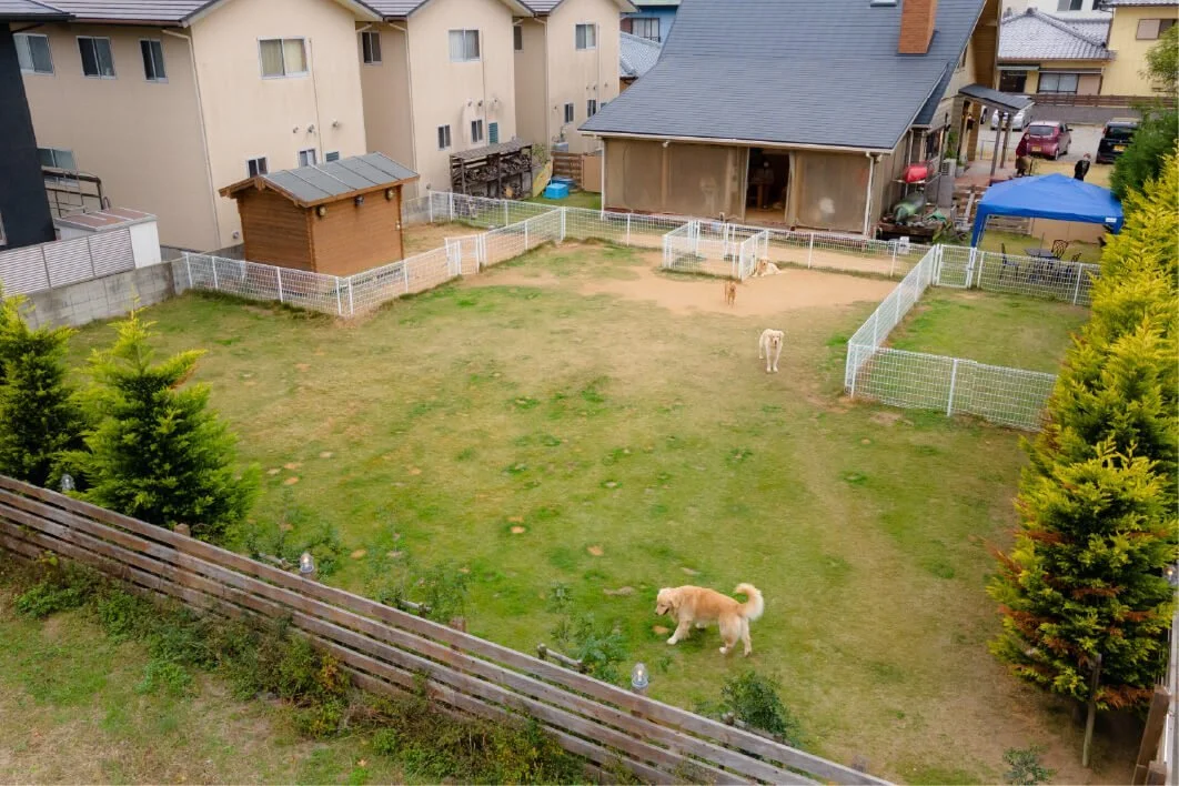 ログカフェ レオン