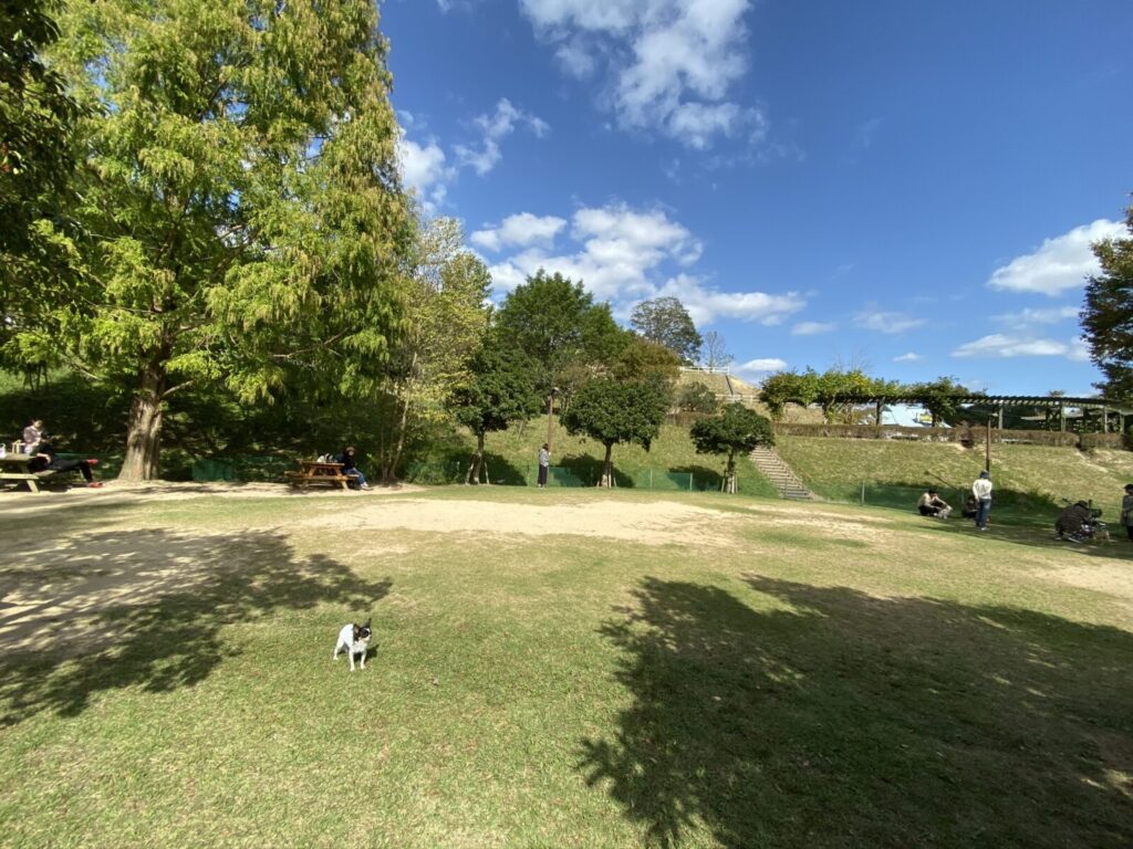 花みどり公園 ドッグラン