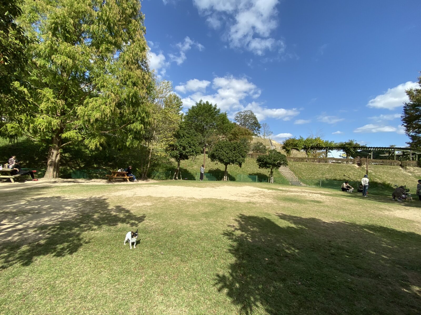花みどり公園 ドッグラン