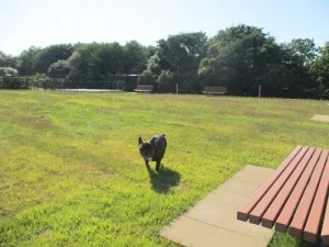 いくとぴあ食花