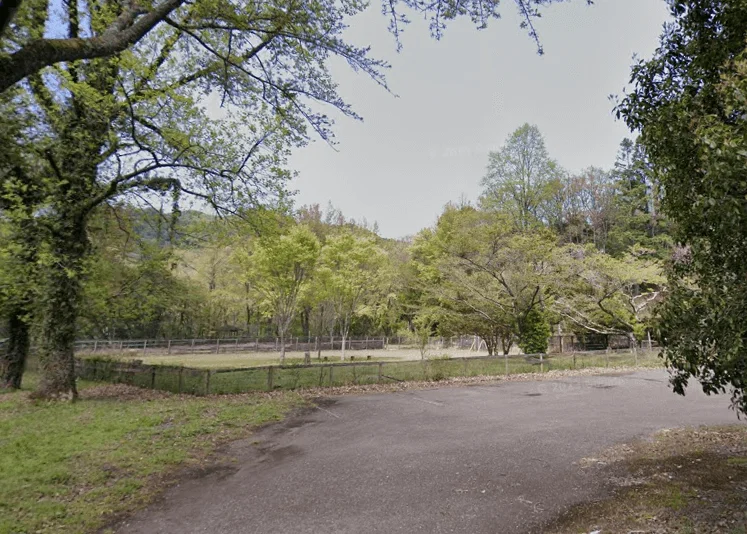 県民の森 丸塚広場ドッグラン