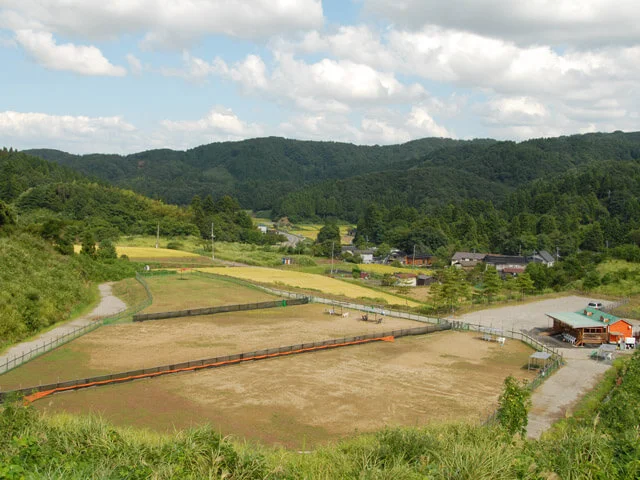 ウェリナ・ドッグパーク