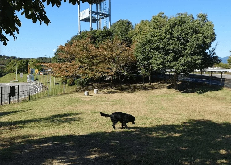 石鎚山SA(上り) ドッグラン