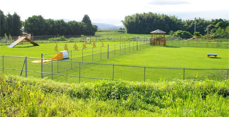 ドッグラン宗像