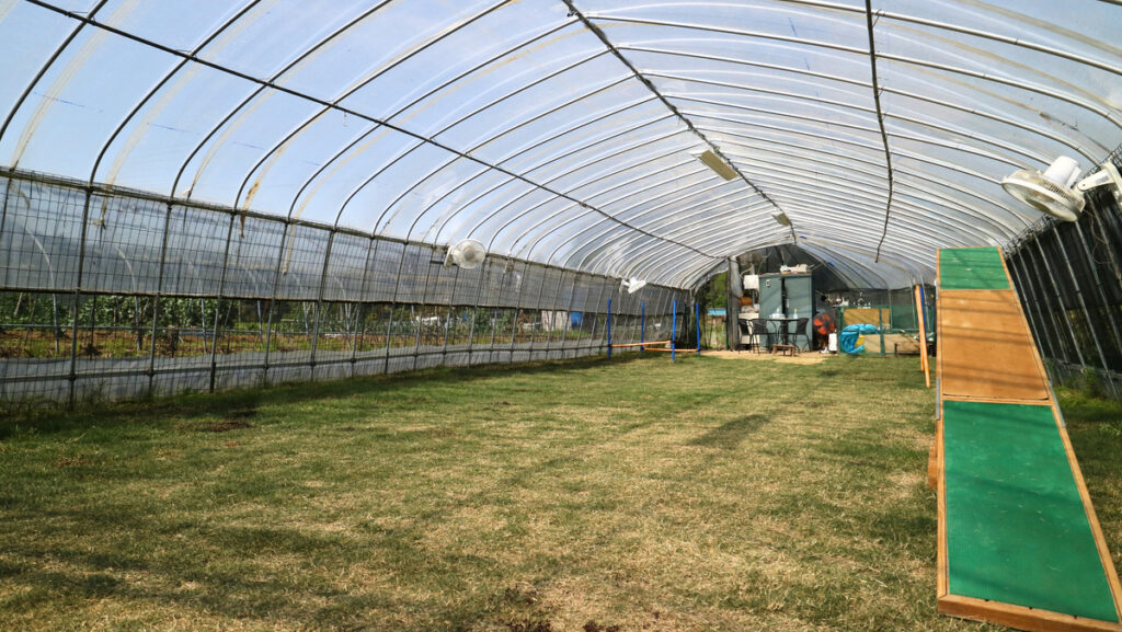 94fc3f3f73bbfc88a8c0fa1453ed3231