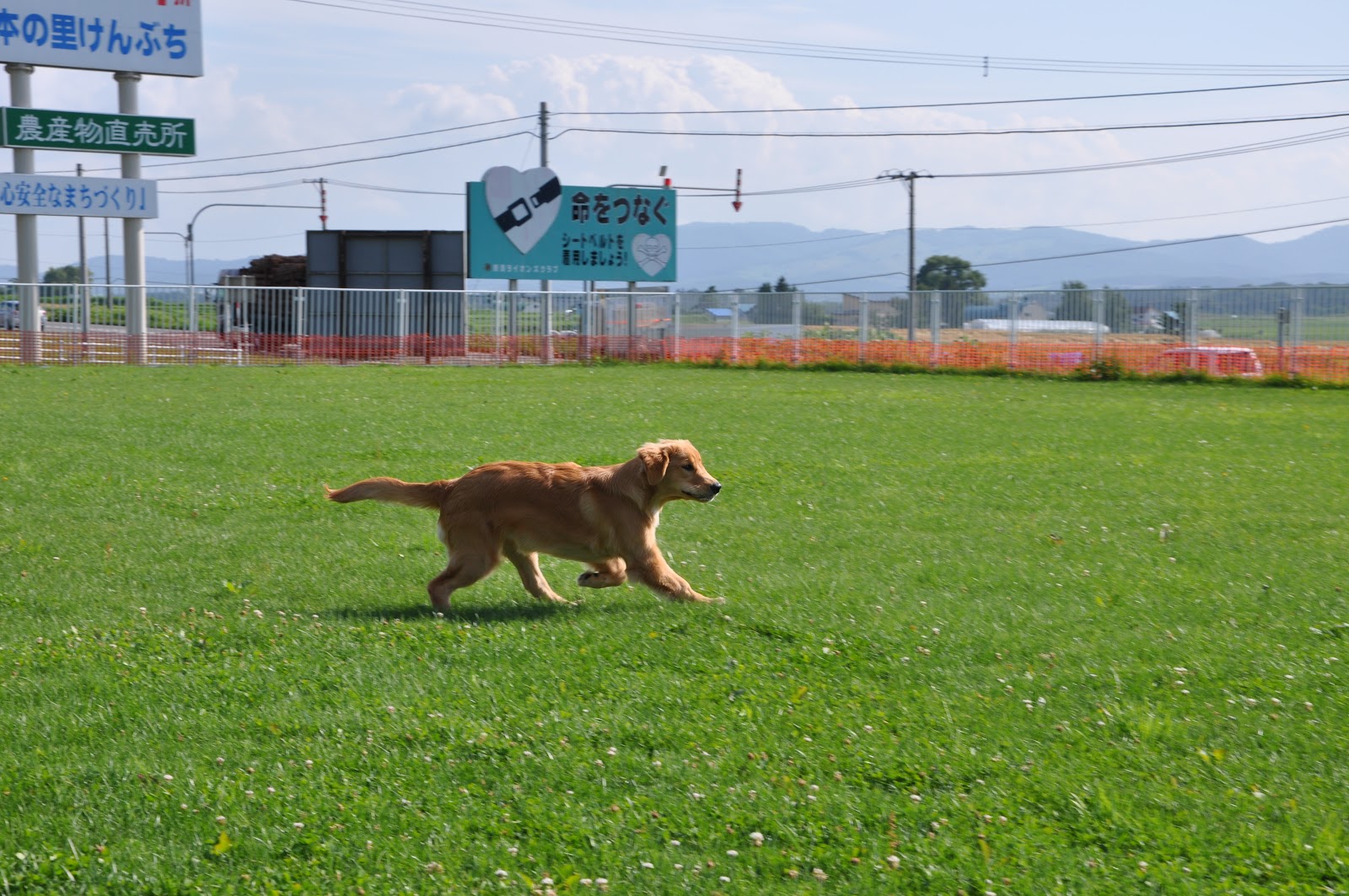 道の駅絵本の里けんぶち ムーニャパーク