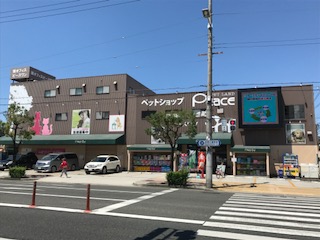 ピースワン東住吉店