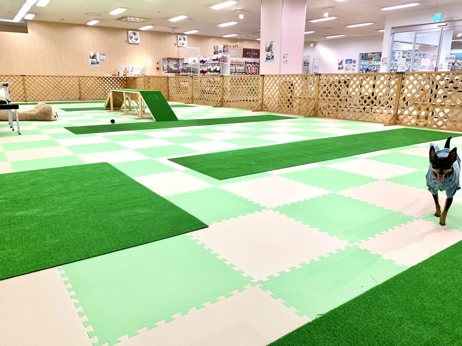 ハッピー譲渡会