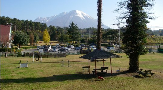 森の国 ドッグラン