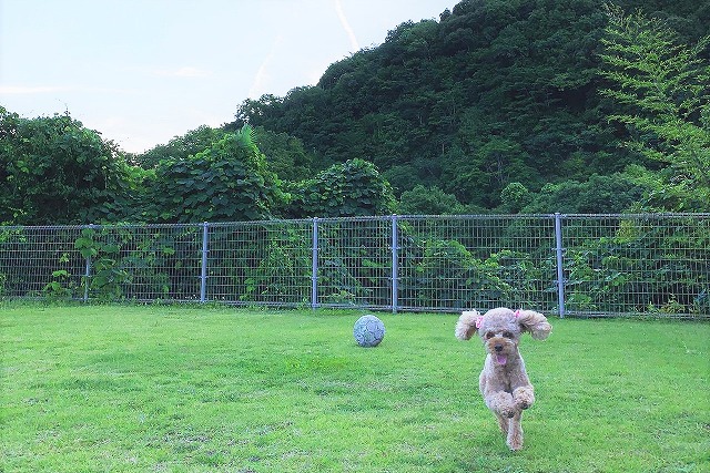 CafeBar Tiara（カフェバル ティアラ）