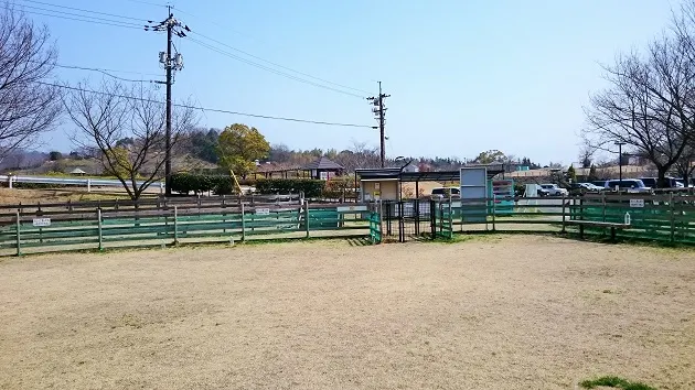 a18d2a0be9228de99aefd5b367be481d