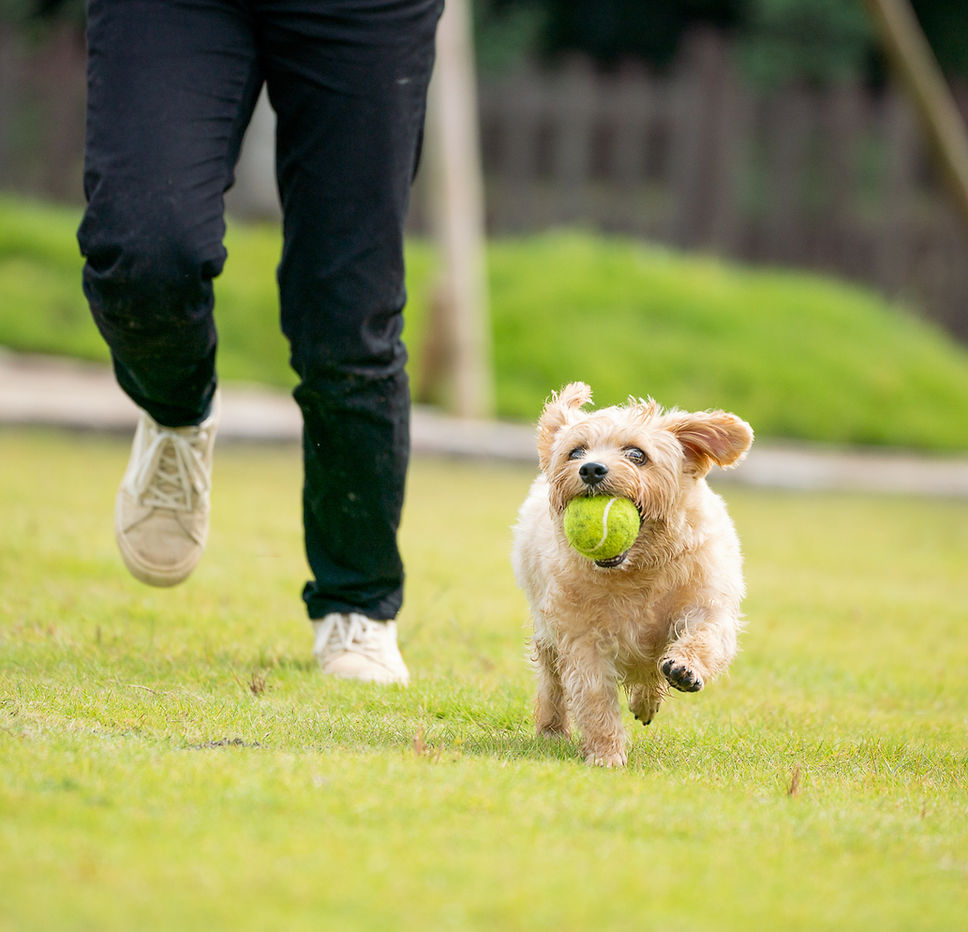 a99b71_b9af23487e444408b2c5b4631e7b5b50~mv2