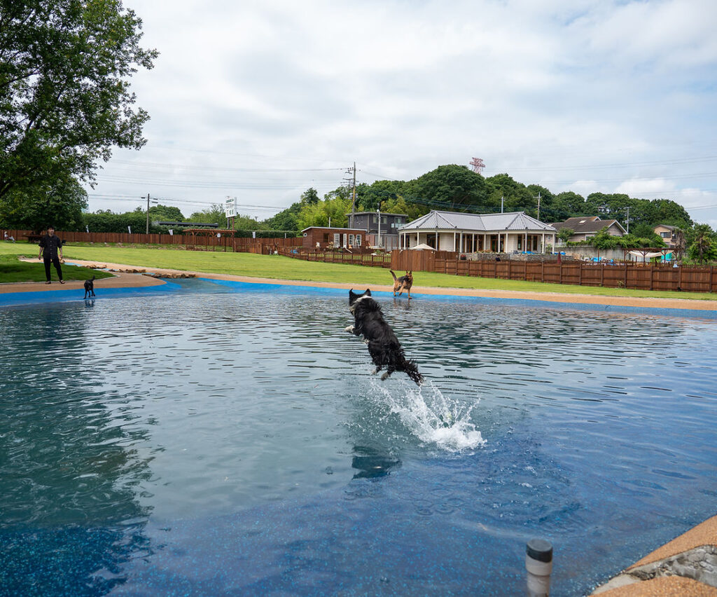 a99b71_e377684936e24eeda014771b5b7b7083~mv2