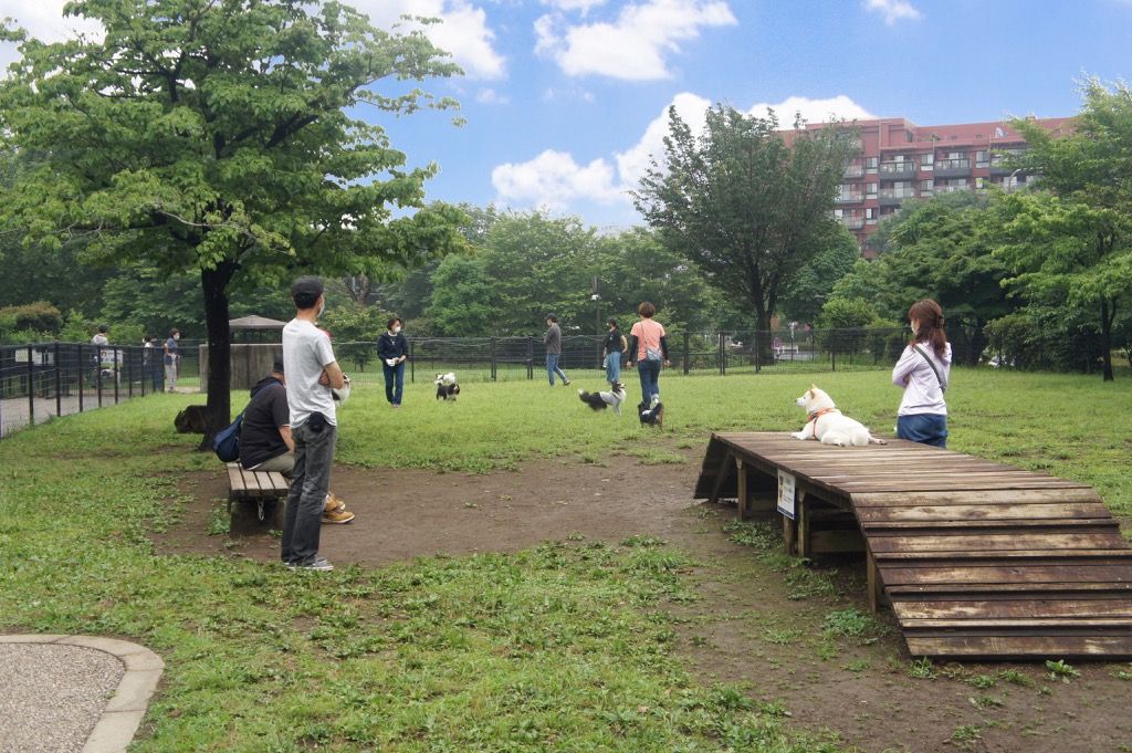 昭和記念公園ドッグラン