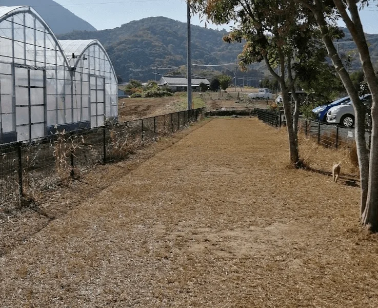 はちみつ工房 芳苑