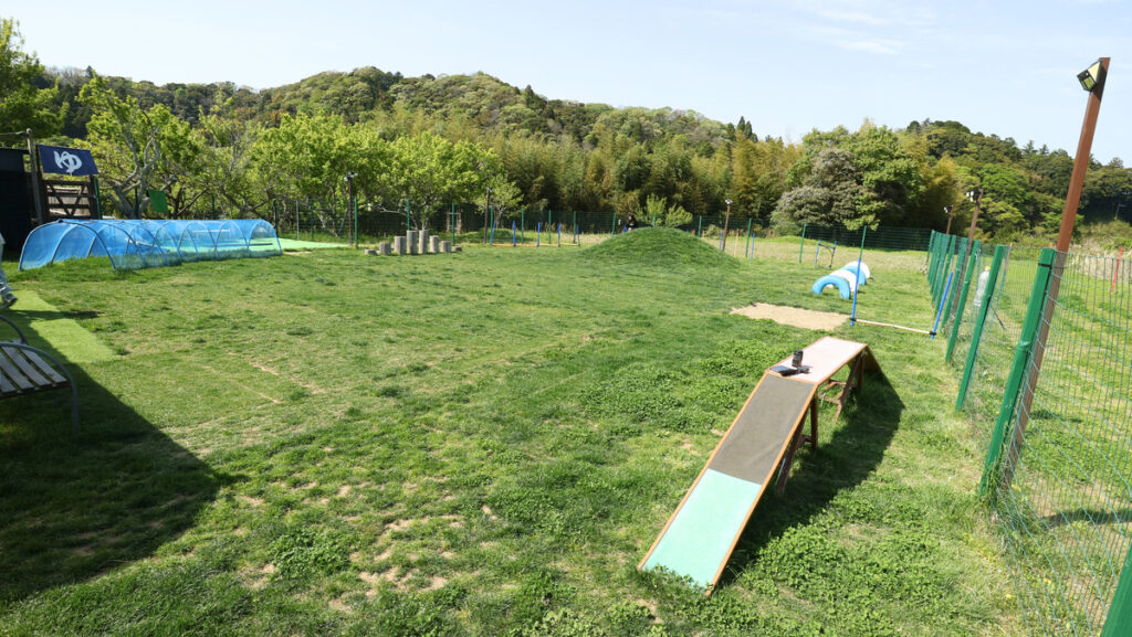 c01a058fdba0f14619e56514d28cd11c