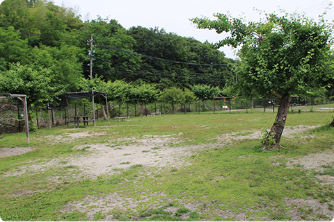 Dog with（ドッグウィズ）