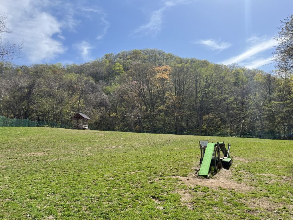 わんぱーく西野 ドッグラン