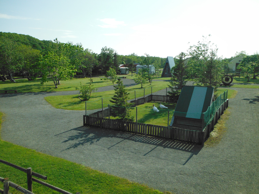 稚内市動物ふれあいランド