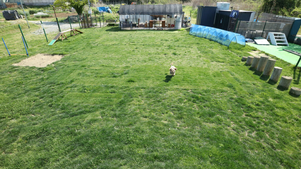 d2693141e4c540c76a0cb1ebf462b029