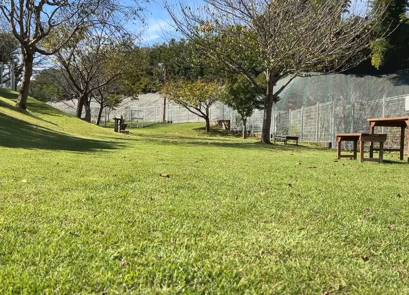 ドッグガーデン・ユーカリ