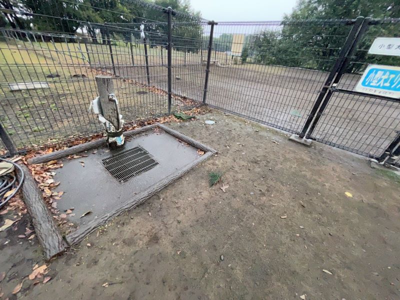 大間木ドッグラン