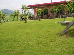 ドッグカフェさくらandドレミ