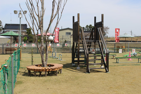 ＤＯＧ Ｐａｒｋ 福光(ふくみつ)