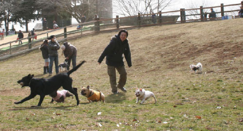 成田ゆめ牧場 ドッグラン