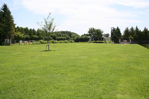 ふなばしアンデルセン公園ドッグラン