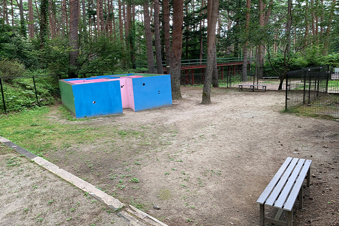 doggy_top20210819_img001