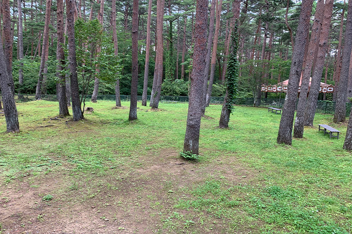 富士すばるランド ドギーパーク