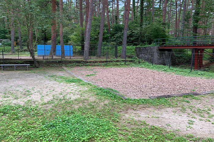 doggy_top20210819_img004