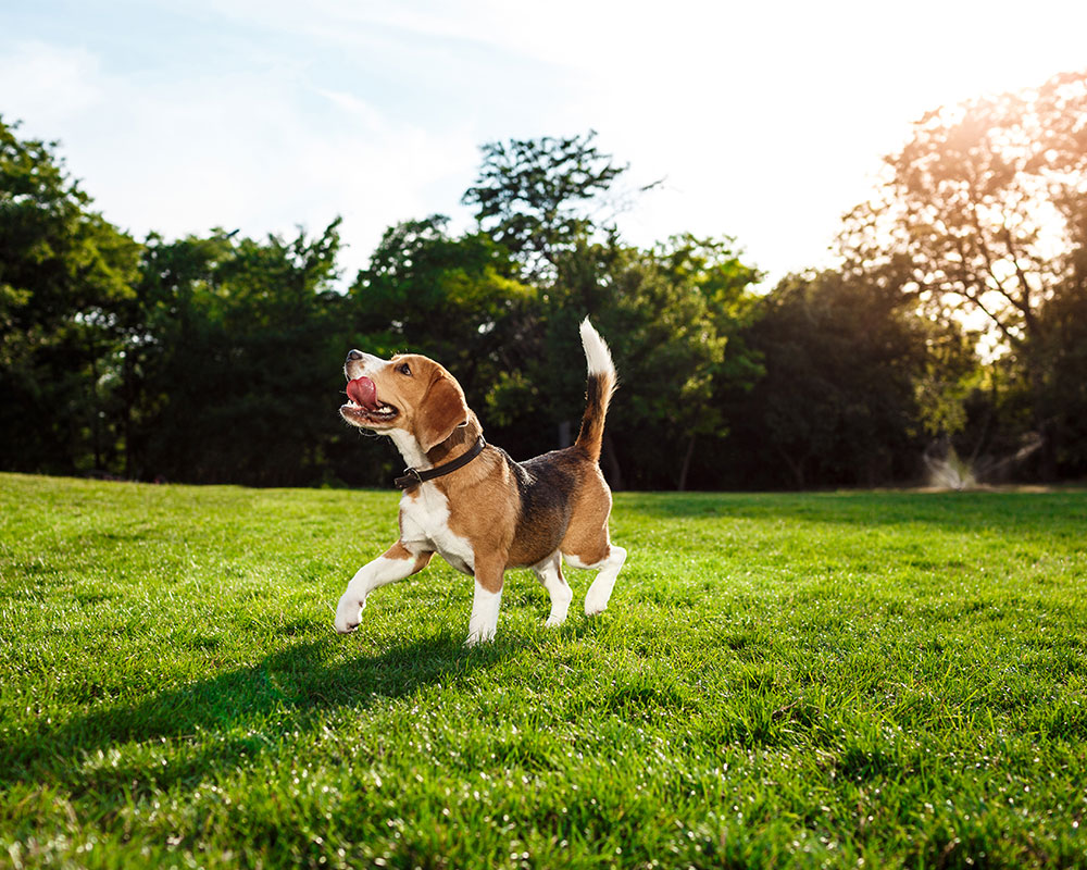ホテルシーガリアマリン